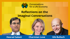 Reflections on the Imaginal Conversations: Bridging Values Through Shared Experience